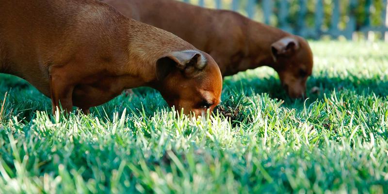 微单还是单反？职业摄影师与爱好者的终极选择，背后竟藏着你不知道的IT解决方案